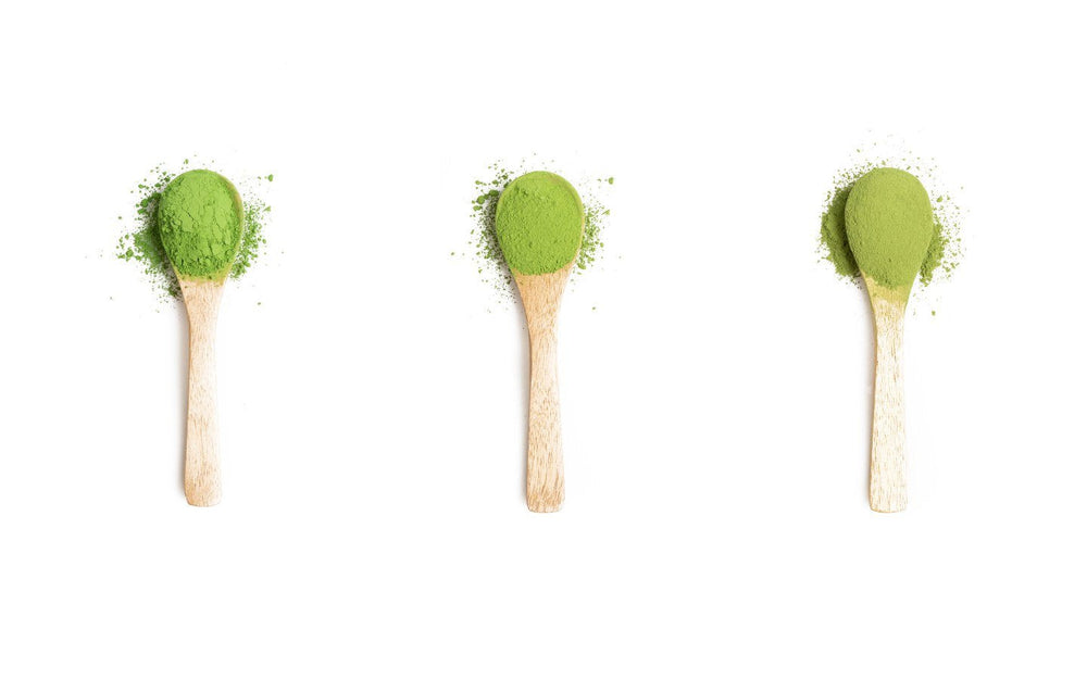 Different Matcha Grades: An Idiot-Proof Guide