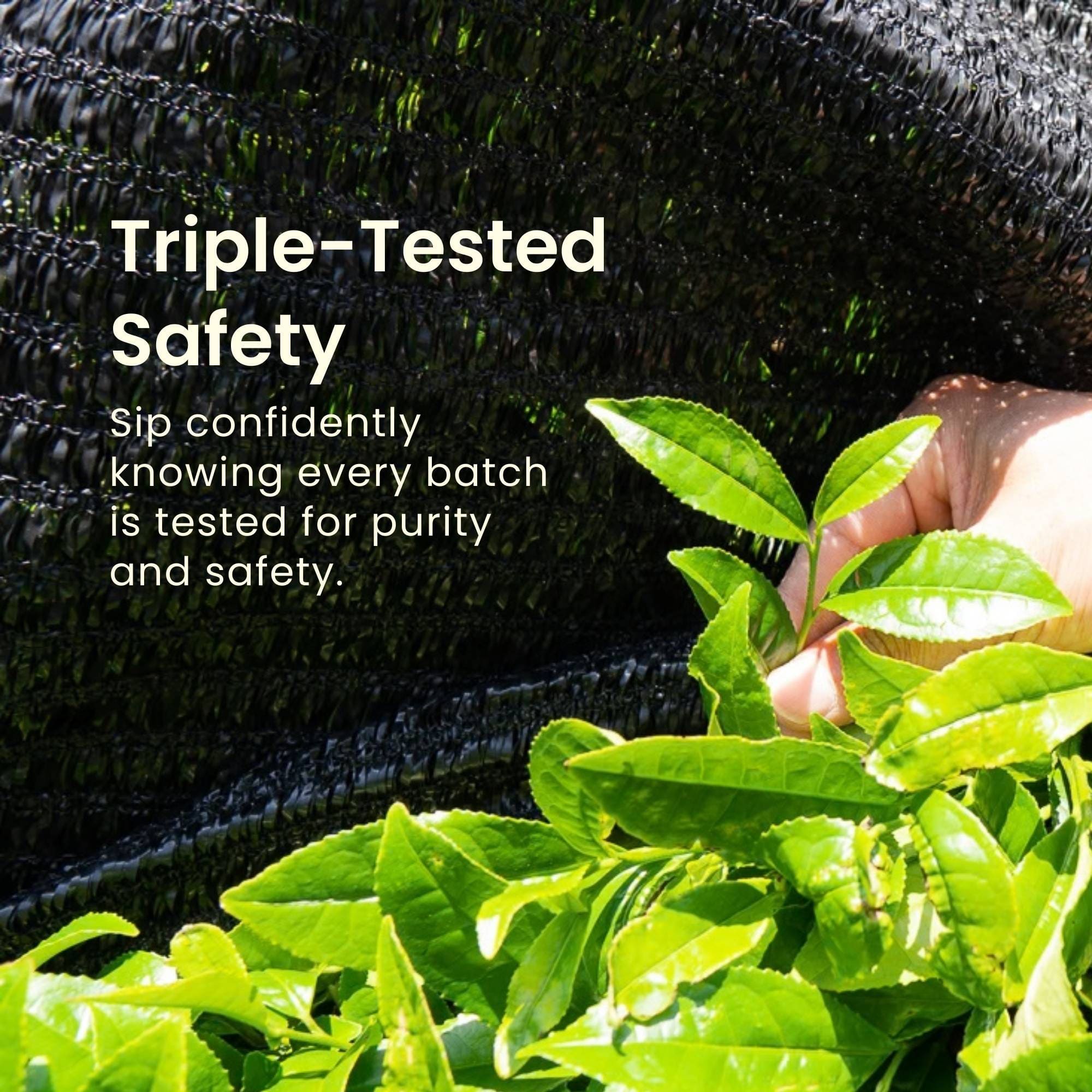 Matcha Flight - 3 Tin Tasting Set